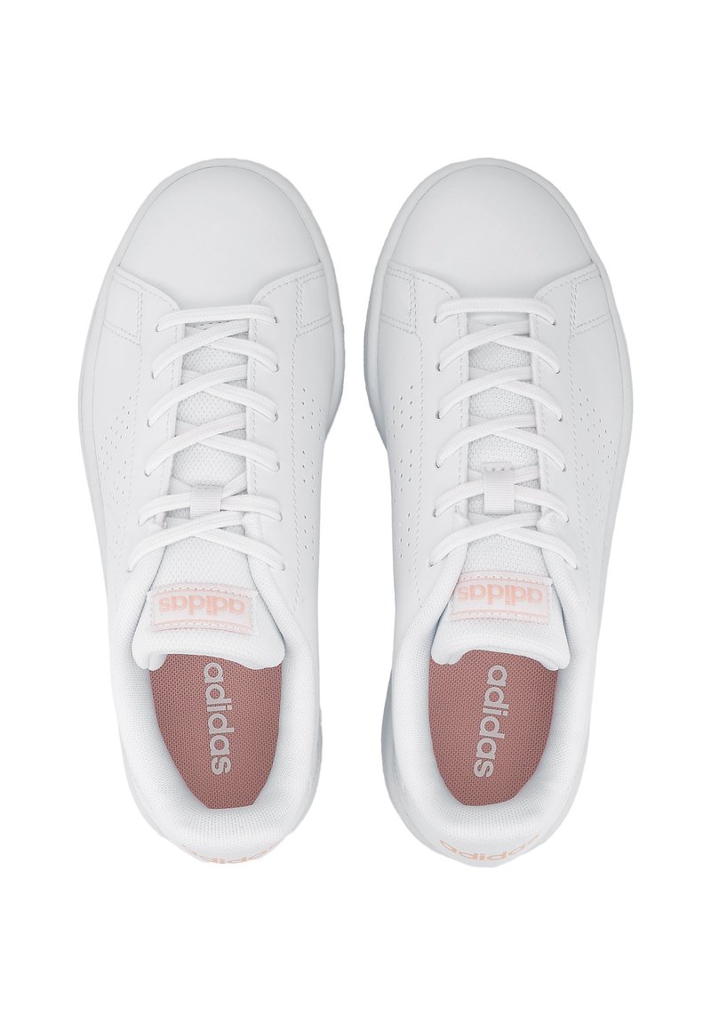 Identificar juego whisky adidas Originals ADVANTAGE BASE - Zapatillas - weiß/blanco - Zalando.es