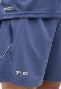 Μπλε αθλητικό σορτς και μπλουζάκι με αεριζόμενο ύφασμα και λογότυπο Climacool στο κάτω μέρος του σορτς και στο τελείωμα του μπλουζακιού.