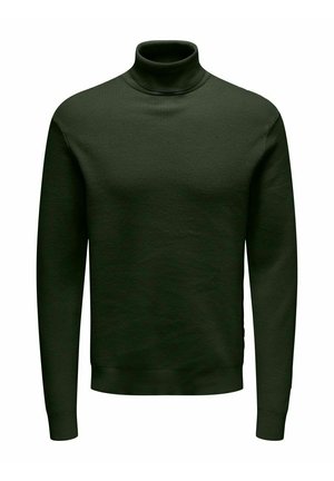 Dark green turtleneck sweater with a ribbed texture, long sleeves, and a fitted silhouette. Simple design without patterns or embellishments.