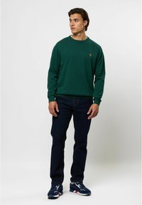 U.S. Polo Assn. ADAIR - Pulover - rain forest