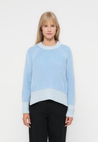 lichtblauw gebreid sweater met verticale ribbeltextuur, raglanmouwen en een cropped zoom. Heeft een ronde halslijn en contrasterende lichtere accenten.