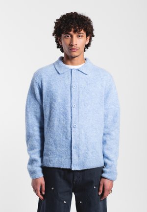 Giovane con capelli ricci che indossa un cardigan azzurro chiaro con bottoni e pantaloni scuri, in piedi davanti a uno sfondo bianco uniforme.