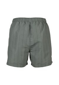 Shorts gris à taille élastique avec de fines rayures verticales de texte indiquant "Karl Kani 1989 Brooklyn New York" sur fond blanc.