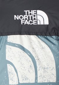 The North Face Daunenjacke - multi-coloured