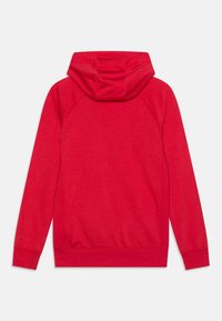 Jordan Bluza z kapturem