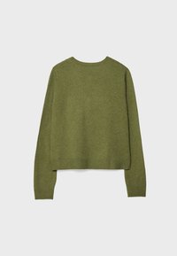 Pull en tricot vert olive à manches longues avec poignets et base côtelés, vu de dos sur un fond clair uni.