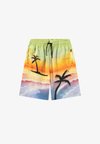 ADI SHORTS - Short - multicolour