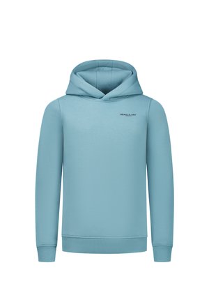 REGULAR FIT HOODIE LS - Hoodie - green