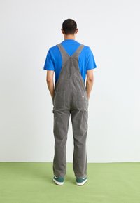 Gray cotton overalls with adjustable straps, two front pockets, and a back logo patch, paired with a blue t-shirt and green sneakers.
