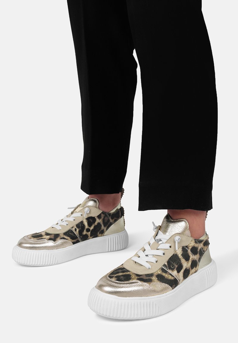 Crickit SNEAKER OAKLI - Sneaker low - gold leo