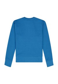 Felpa blu con maniche lunghe, scollatura rotonda e polsini e orlo a coste. Tessuto liscio senza motivi o accenti visibili.