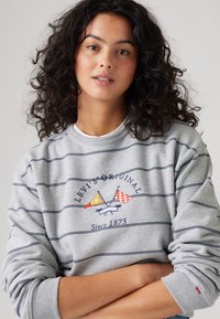 Sweatshirt gris avec des rayures horizontales bleu marine, comportant des drapeaux brodés et le texte "LEVI'S ORIGINAL Since 1873". Manches et col côtelés.