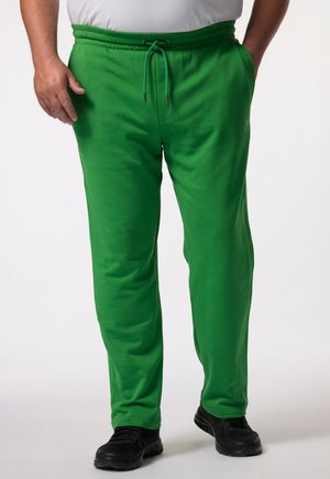 Tracksuit bottoms - light green