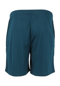 Mörk teal herrsportshorts med elastisk midja, knälånga och tillverkade av lättviktsmaterial.