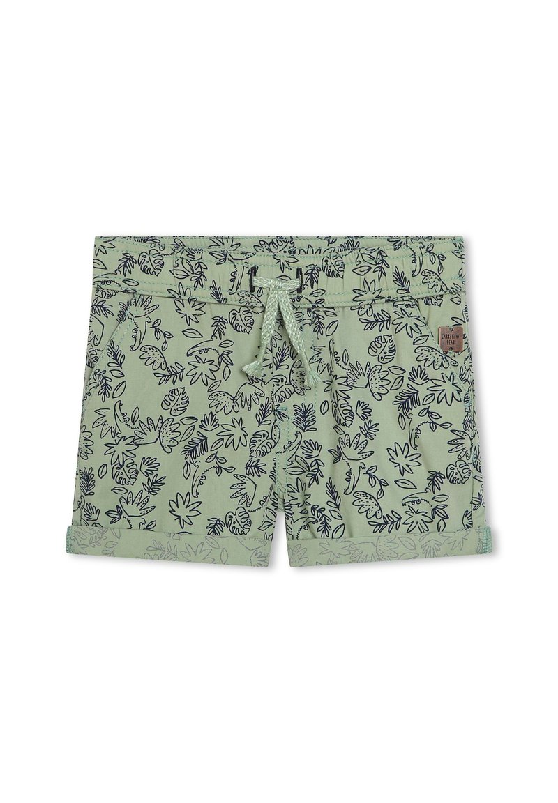 Carrement Beau Shorts groen