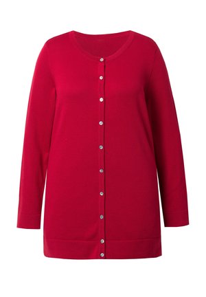 Punainen neuletakki, jossa on pitkät hihat, pyöreä pääntie ja viiden napin etusulku. Suora pinta ja tasavärinen, ei kuvioita tai koristeita.