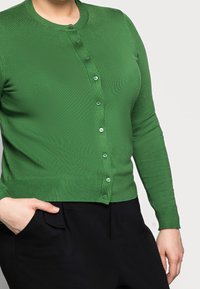 Groen gebreid vest met een ronde hals, voorzien van knopen aan de voorkant en lange mouwen. Gladde textuur met een subtiele glans. Gecombineerd met een zwarte broek.