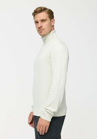 Pulover turtleneck de culoare gri deschis, realizat dintr-un material tricotat neted. Are manecă lungă și o siluetă ajustată. Design simplu și modern.