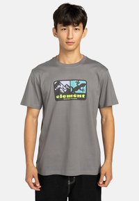 Graues Baumwoll-T-Shirt mit einem mehrfarbigen Grafikdesign von Bergen und einem Echse sowie dem Wort "Element" in fett gedruckter, kontrastierender Schrift.