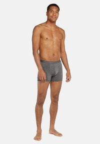 Grijze boxershort gemaakt van zachte stof, met een smalle tailleband met "icebreaker" branding en een strakke pasvorm.