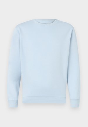 Light blue sweatshirt made of soft cotton with a crew neckline, ribbed cuffs, and hem. Smooth texture, no patterns or embellishments.