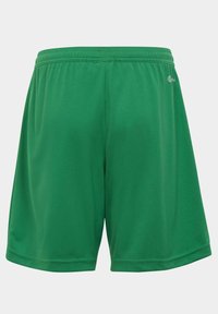 Groene sportshorts gemaakt van lichte, gladde stof. Voorzien van een elastische tailleband en een eenvoudig ontwerp, zonder zichtbare patronen of accenten.