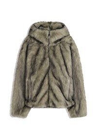 HOODED - Winterjacke - grey