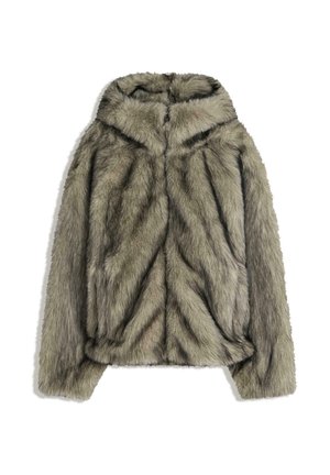 HOODED - Zimná bunda - grey