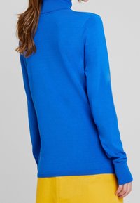 Sininen korkeakauluksinen neulepaita pitkillä hihoilla, valmistettu sileästä neulekankaasta. Varustettu ribbaamalla tehdyllä kauluksella ja hihojen päällisellä, yhdistettynä keltaiseen hameeseen.