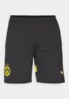 BVB BORUSSIA DORTMUND REPLICA - Klubové oblečenie - black/faster yellow