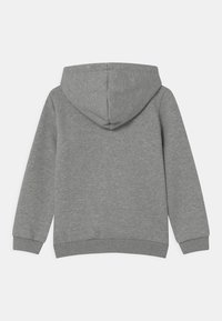 Felpa grigia con una texture morbida, maniche lunghe e un grande cappuccio. Presenta polsini e orlo a coste. Design semplice, senza accenti o motivi visibili.