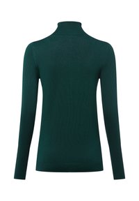 Grüner Rollkragenpullover mit tailliertem Design, langen Ärmeln, gerippter Textur und einem schlichten, nahtlosen Rücken. Hergestellt aus einem weichen Strickmaterial.