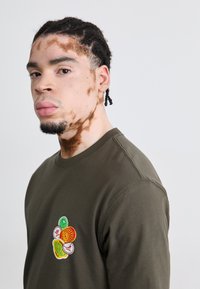 Oliven grøn sweatshirt med lange ærmer, der har et farverigt grafisk design af frugt-tema patches på brystet, lavet af blødt stof.
