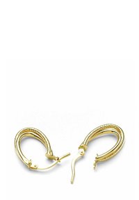 Aukso auskarai su susukti dizainu. Turėtų lygią paviršių ir saugų užsegimą. Kompaktiška forma su sudėtingais detalėmis.