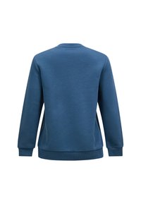 Felpa in cotone blu, con colletto a girocollo, maniche lunghe, polsini e orlo a costine, texture liscia e colore solido senza motivi.