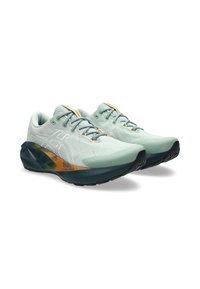 ASICS NOVABLAST 5 TR - Trail running shoes - nature bathing   lichen rock