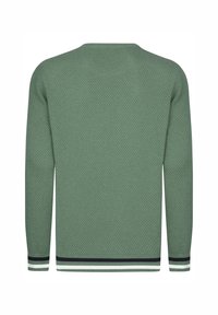 Groene getextureerde trui met lange mouwen, ronde hals en contrasterende gestreepte accenten bij de manchetten en de zoom.