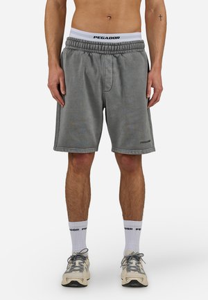 Pegador, PEGADOR SHORTS LOGO HEAVY - Pantaloni sportivi - hellgrau