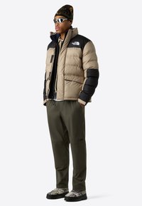 The North Face M LIMBARA INSULATED JACKET - Giacca invernale - mushroom grey