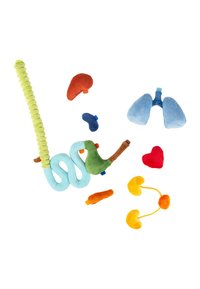 Colorful plush fabric models of human internal organs including lungs, heart, kidneys, liver, intestines, and bladder on white background.