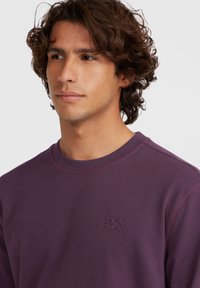 Paarse sweatshirt met een ronde hals, voorzien van een subtiele geborduurde logo op de borst. Gemaakt van zachte stof met geribde manchetten.