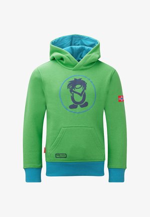 Grüne Kapuzenjacke mit blauer Innenseite und Bündchen. Verfügt über ein großes dunkelblaues Grafiklogo und eine Kängurutasche auf der Vorderseite. Norwegische Flagge als Detail vorhanden.