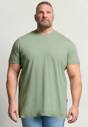 Muscular man with short hair and beard, standing still, wearing a light green t-shirt and blue jeans against plain background.