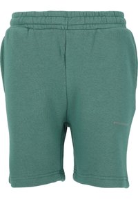 Gröna bomullsmix-shorts med elastisk midja, sidofickor och en sydd fåll. Har en liten "ENDURANCE"-logotyp fram.
