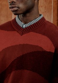 Κοντινό πλάνο ενός ατόμου που φοράει μπορντό πουλόβερ με κυρτά σκούρα σχέδια και ένα γαλάζιο και λευκό καρό πουκάμισο με γιακά από κάτω.