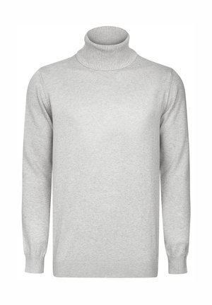 TURTLENECK - Trui - grey