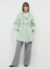 Calliope Trench - salvia