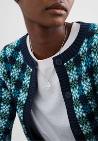 Asmuo vilkintis mėlyną, žalią ir baltą raštuotą megztinį per baltą marškinėlį, ant kaklo turi sidabrinį paukščio formos pakabuką.