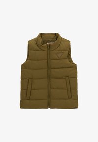 Pasirinkta, verde oliva