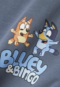 Sininehall kangas, millel on multikangelased Bluey ja Bingo, ning tekst "BLUEY & BINGO" helesinisel ja valgel, mänguliselt kujundatud.